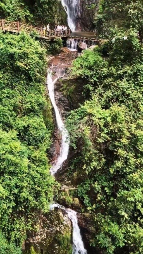 湖南省人民医院开展寒假未成年人健康体重管理公益活动